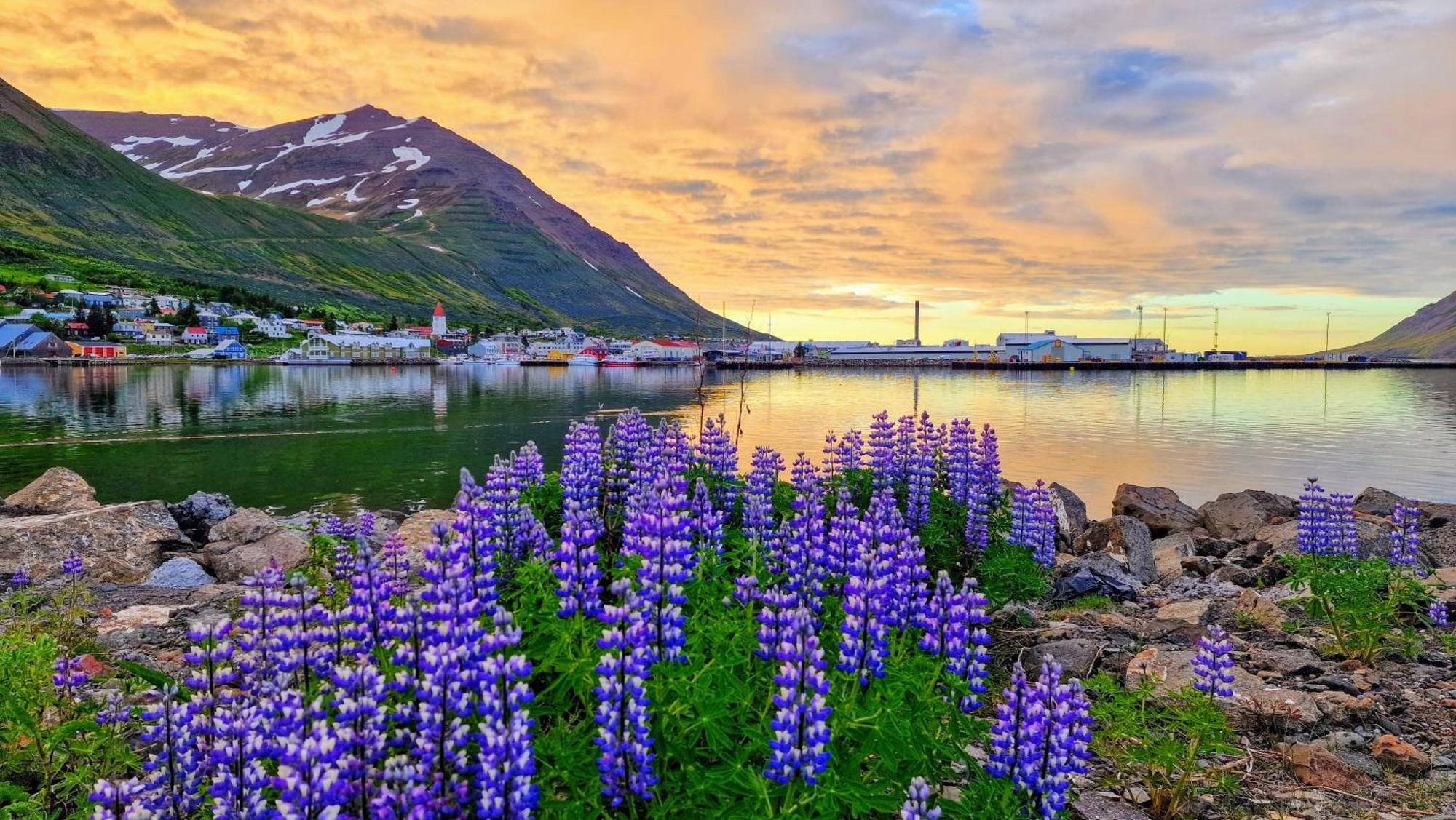 Landakot The Perfect Getaway By Staynorth Siglufjordur ภายนอก รูปภาพ